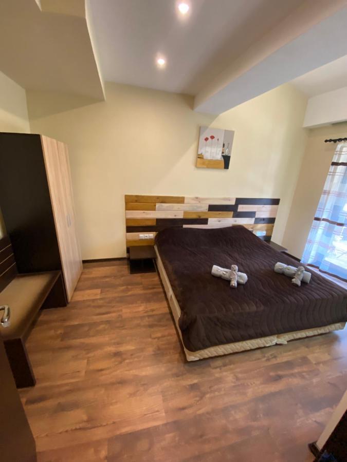 Cozy Apartment With Fantastic View بانسكو المظهر الخارجي الصورة